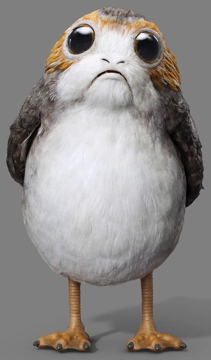 Moving Porg